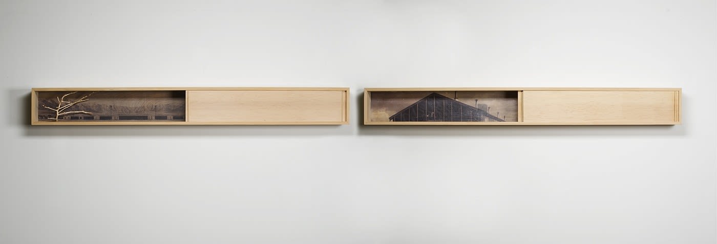 Wendy Maruyama, Land of the Free