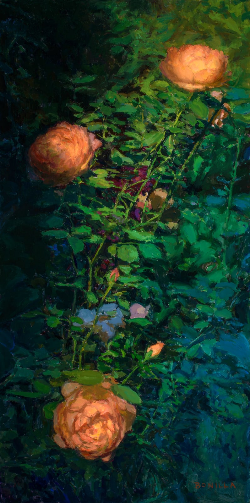 Raymond Bonilla, Morning Coffee