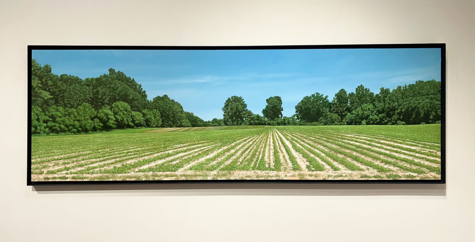 John L. Cleaveland, Jr., A Little Shade at the End of the Row