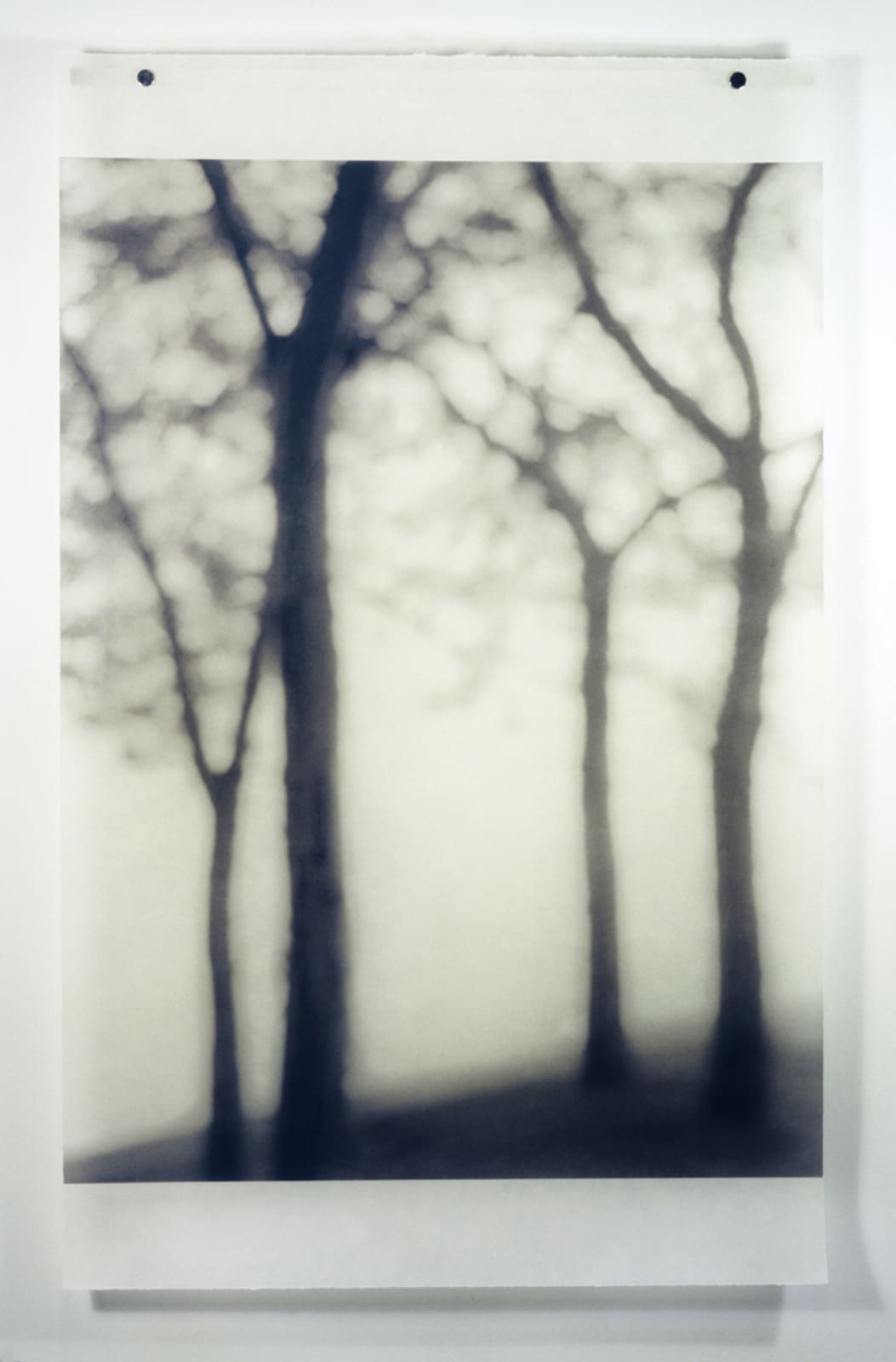 Jeri Eisenberg, Lakeshore, Chicago