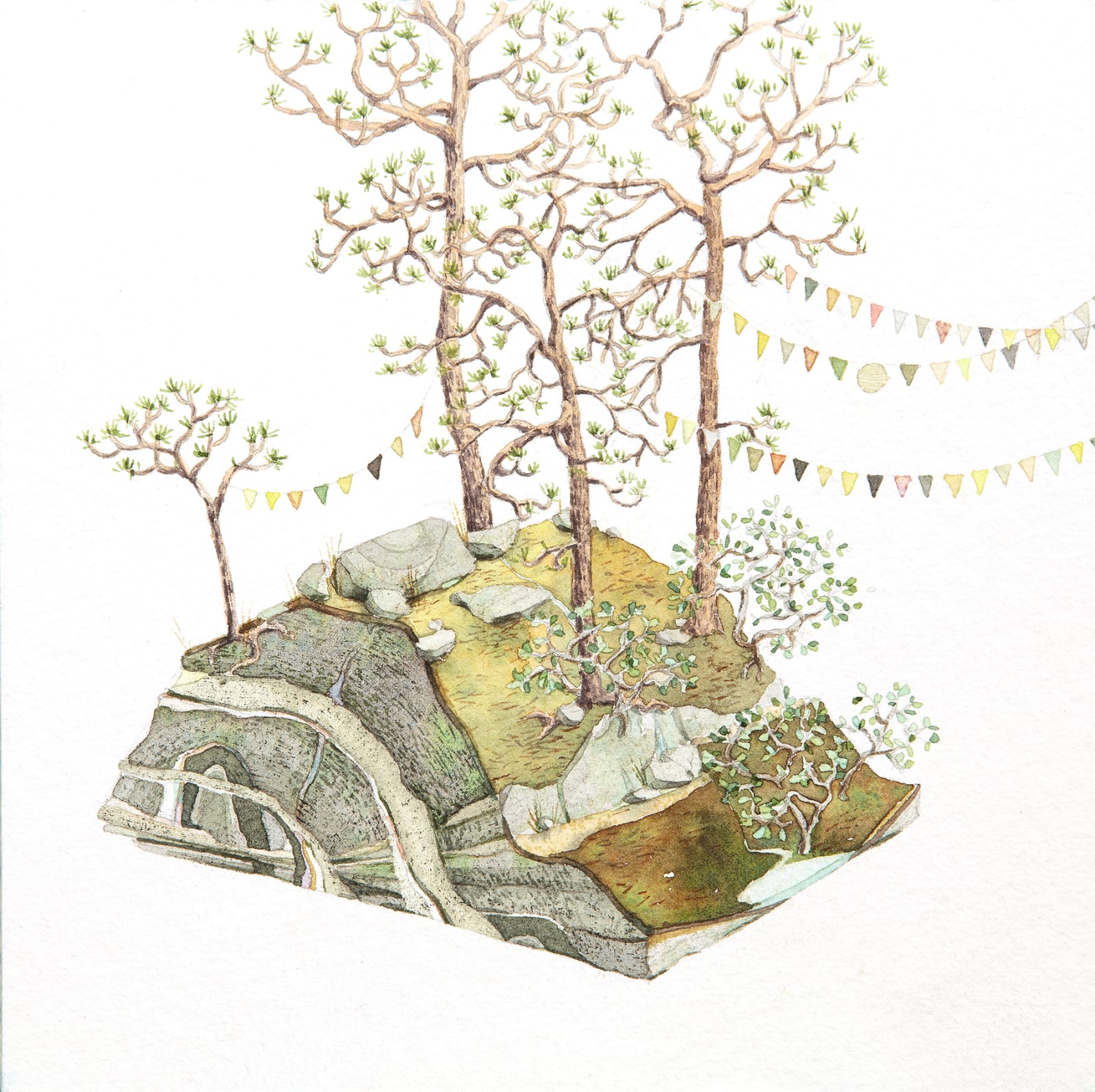 Bryce Lafferty, Pinewoods (Ridge)