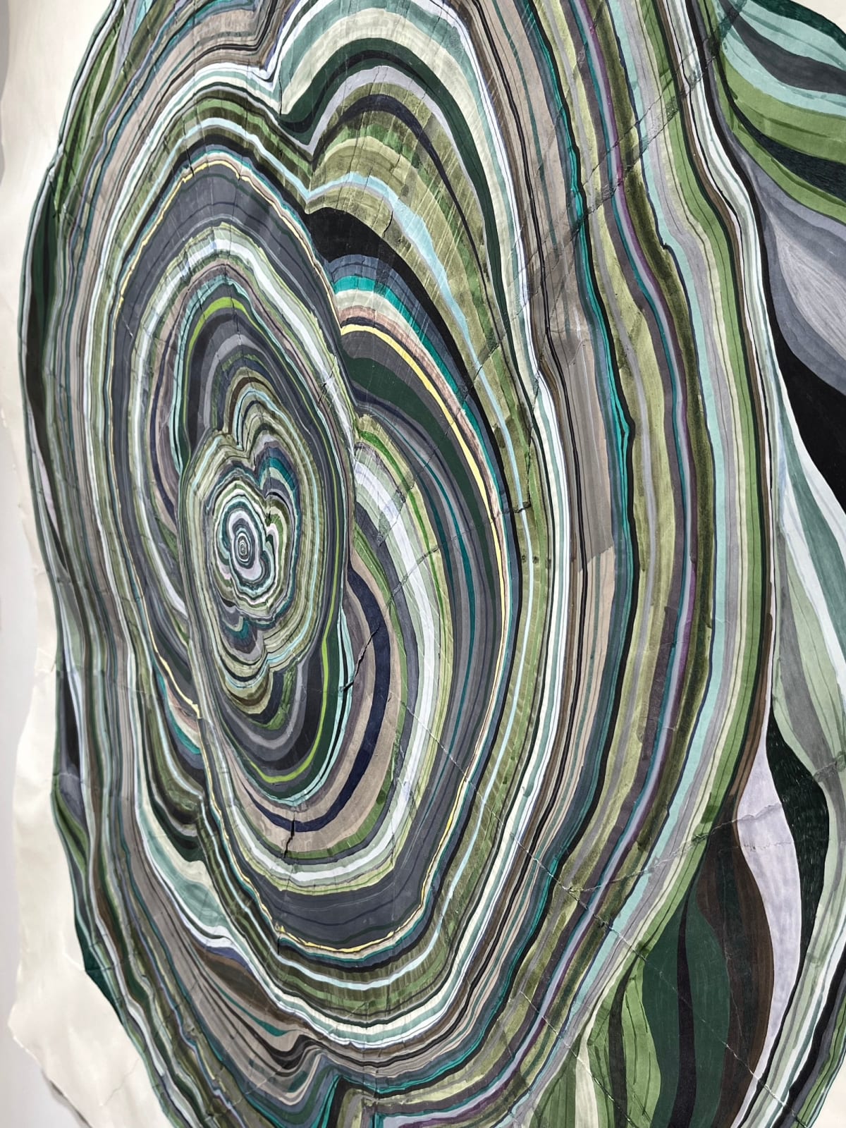 Steven L. Anderson, 199 Years