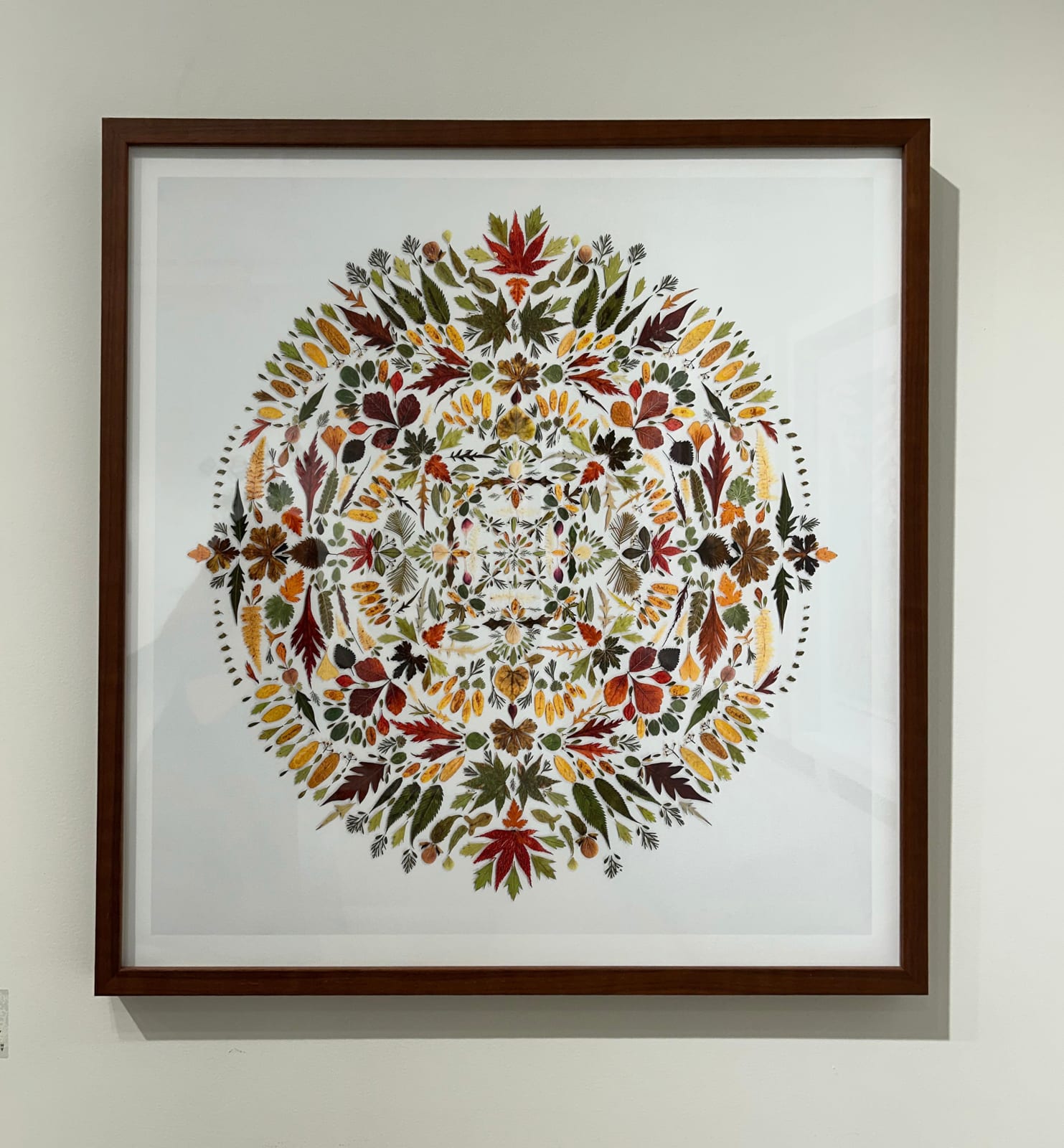 Hillary Waters Fayle, Botanical Mandala Hortus