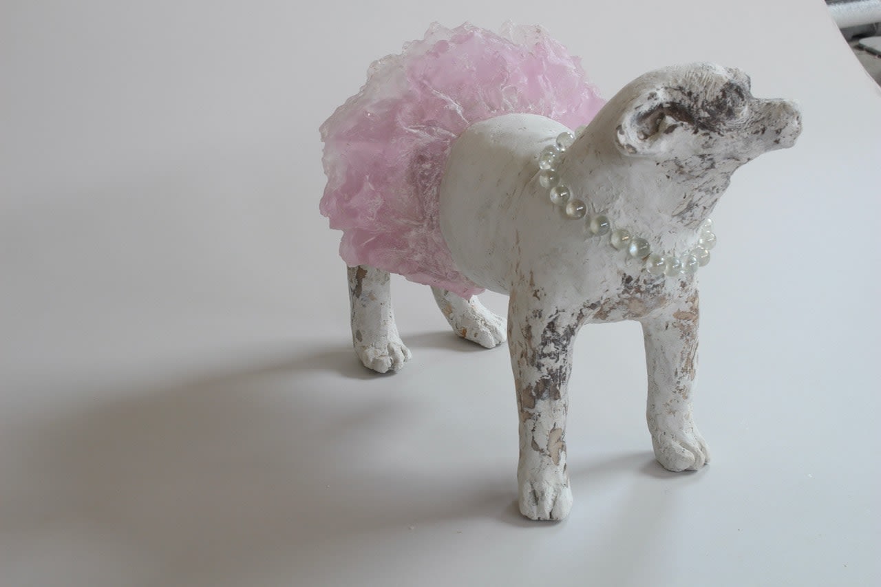 Christina Bothwell, Chihuahua