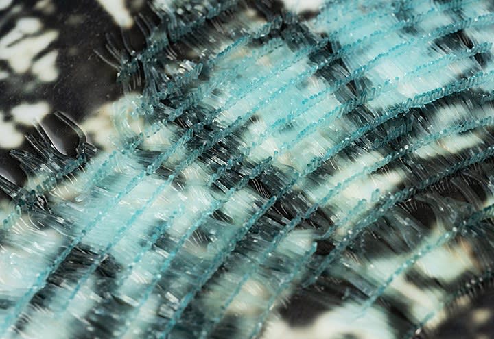 Terri Grant, Falling Into Blue