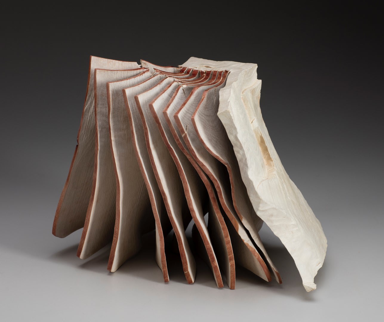 Christian Burchard, Windblown