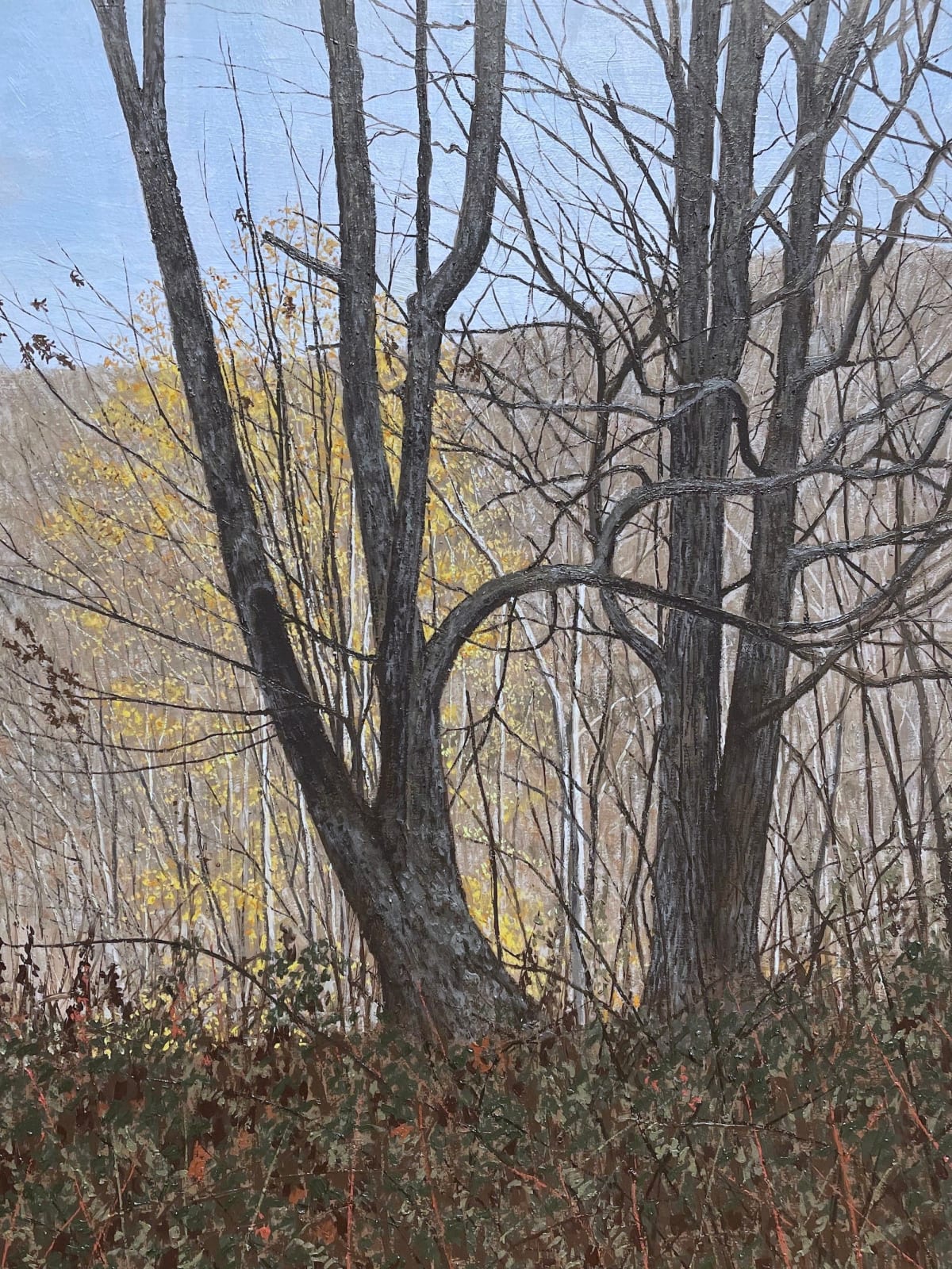 John L. Cleaveland, Jr., Back Light, Waynesville Overlook