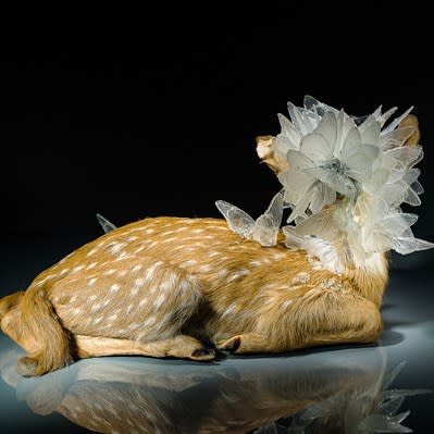 Alli Hoag, Trace Decay #1