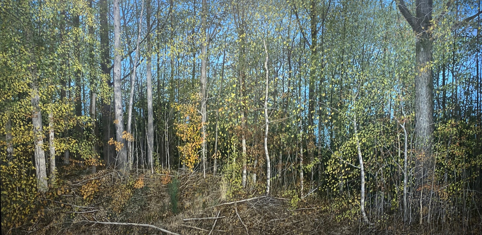 John L. Cleaveland, Jr., Breaking the Line, Côte de Châtillion, Argonne, France