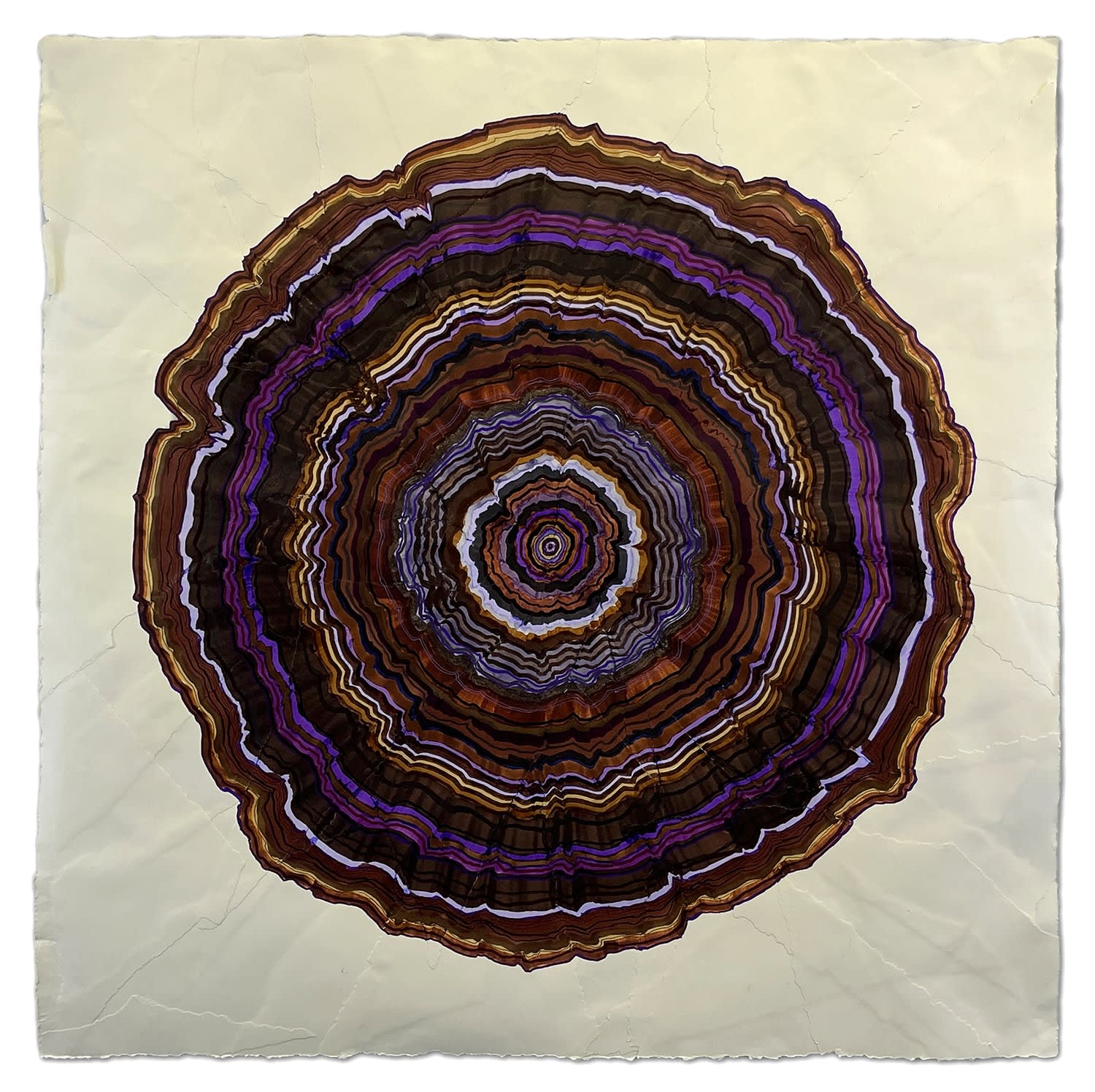 Steven L. Anderson, 113 Years