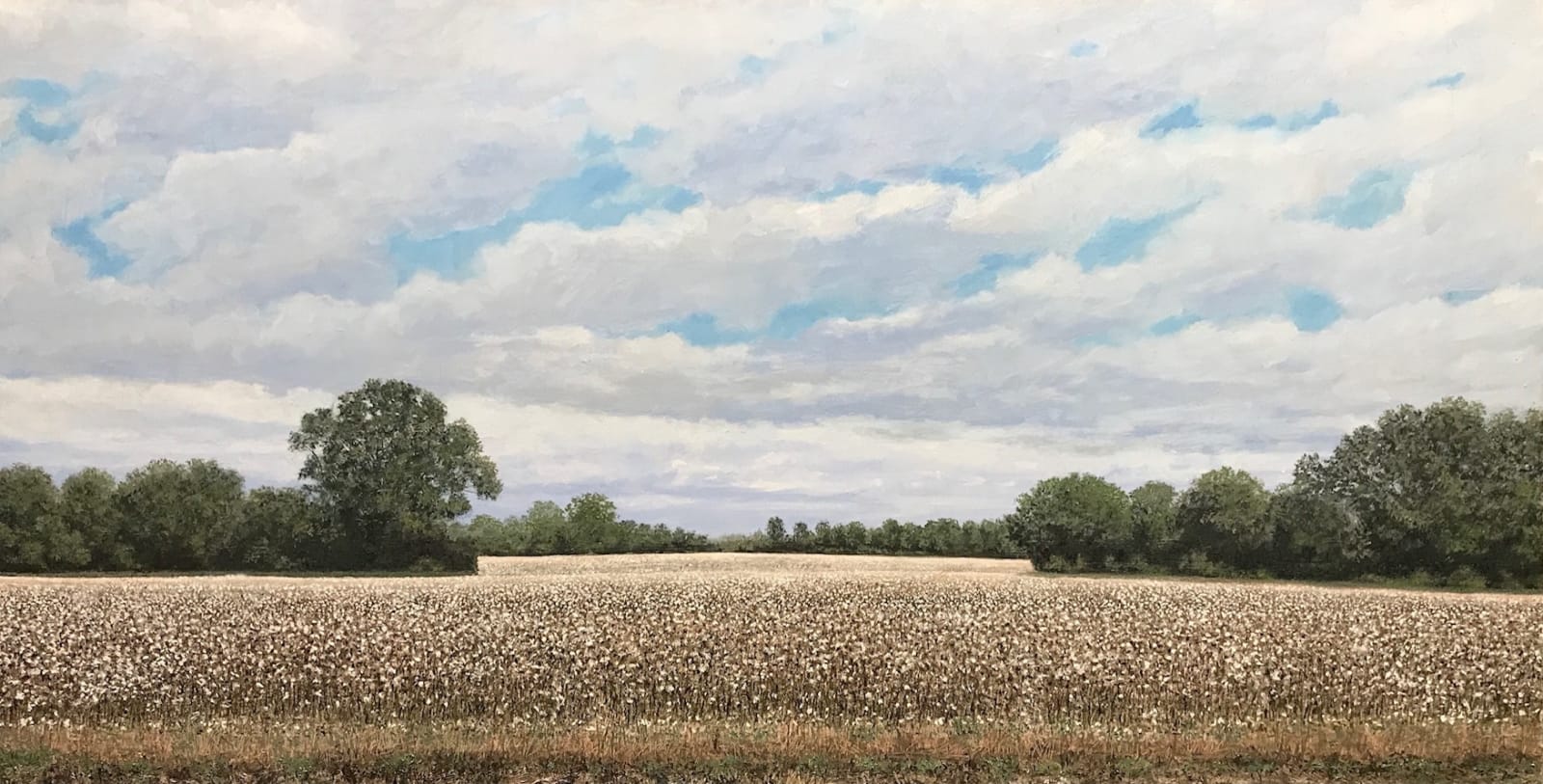 John L. Cleaveland, Jr., From Can’t See to Can’t See