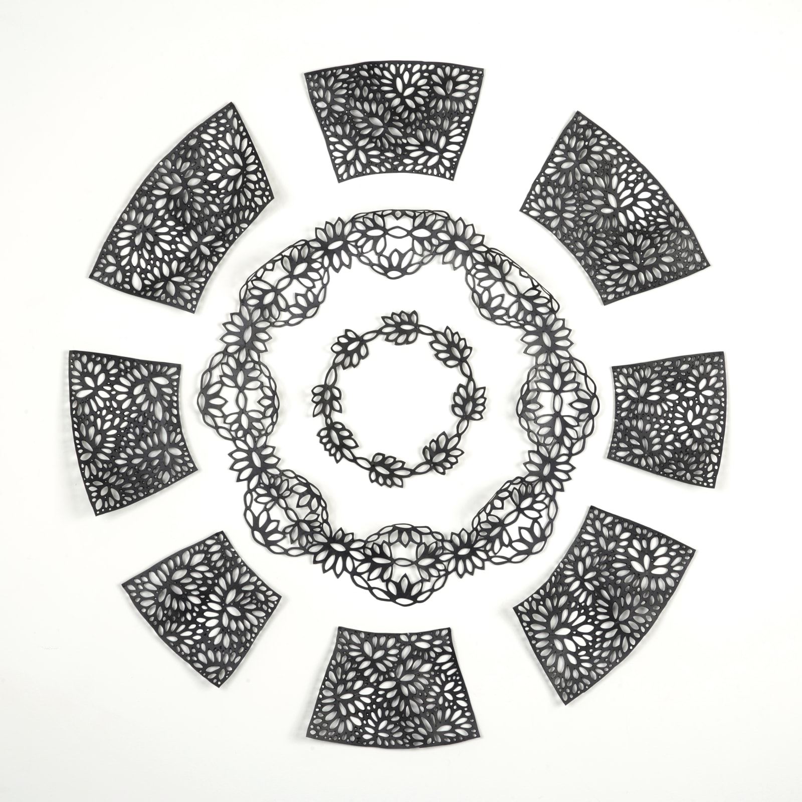 Alysia Fischer, Blossoming Orbit