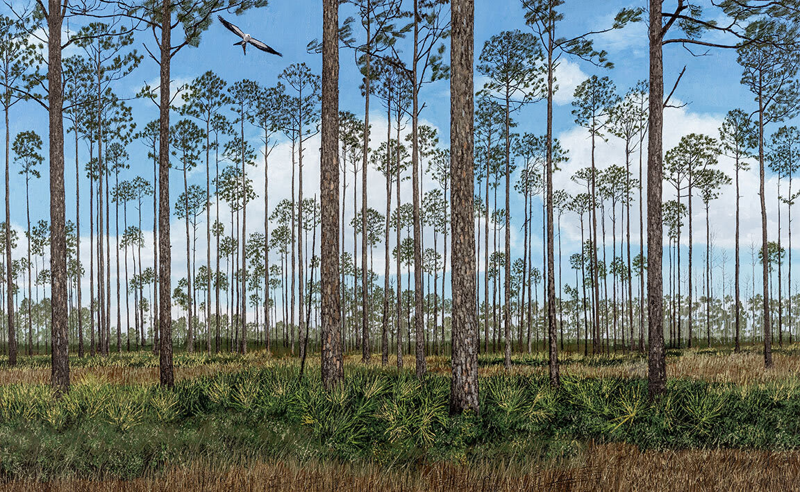John L. Cleaveland, Jr., Flatwoods, Steven Foster State Park, FL