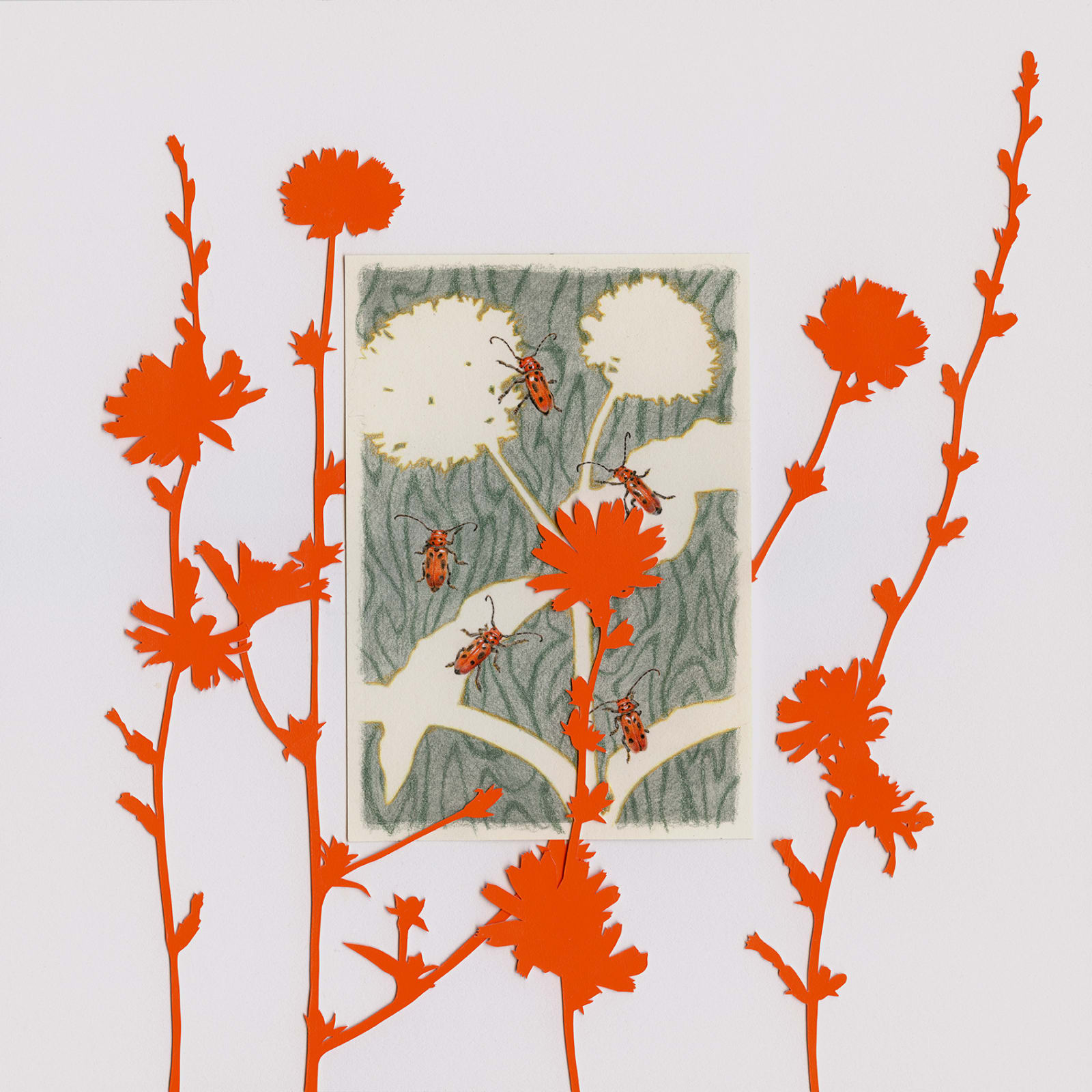 Jessica Tenbusch, Spring Shadows (Chicory)