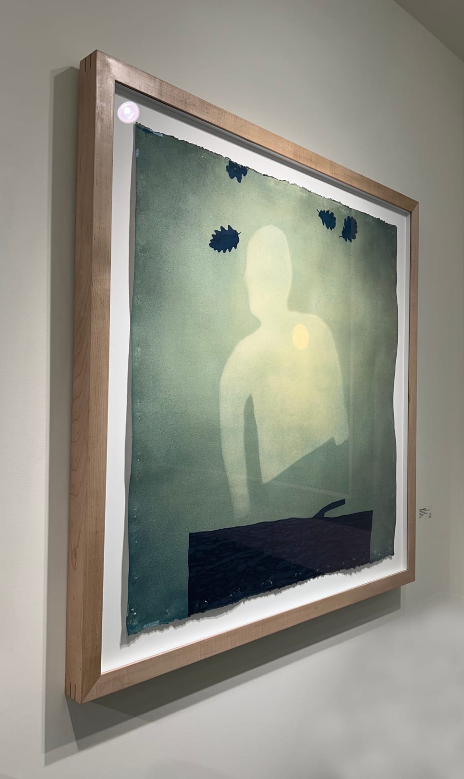 Casey Roberts, Sunlight shines through and reveals a ghost in the side yard