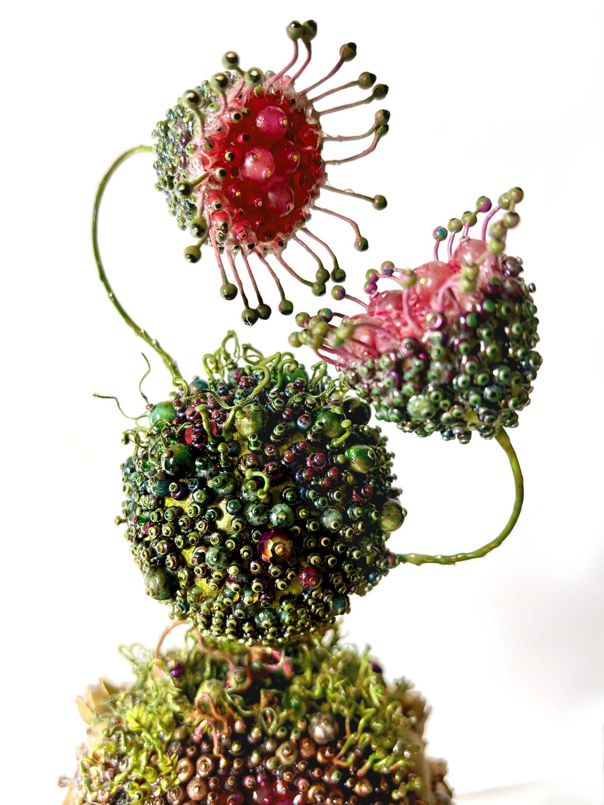 Amy Gross, Ipsa Arguendo