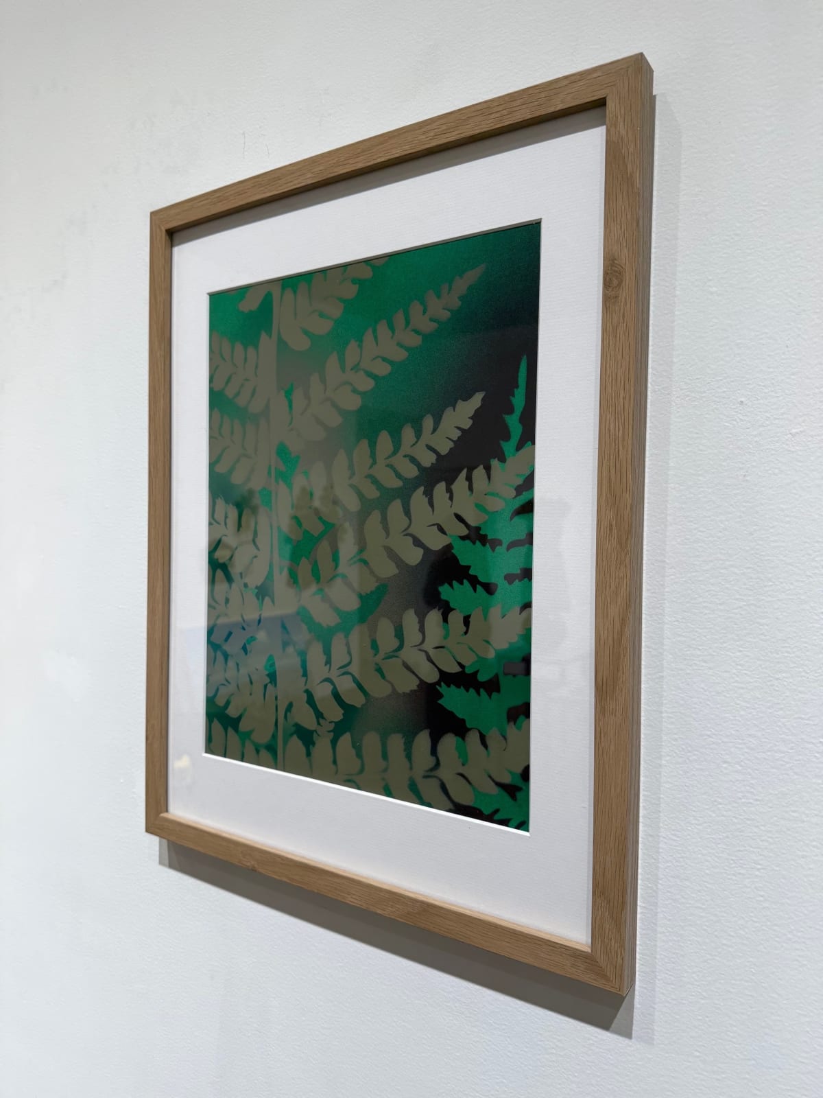 Steven L. Anderson, Pteridomania #8