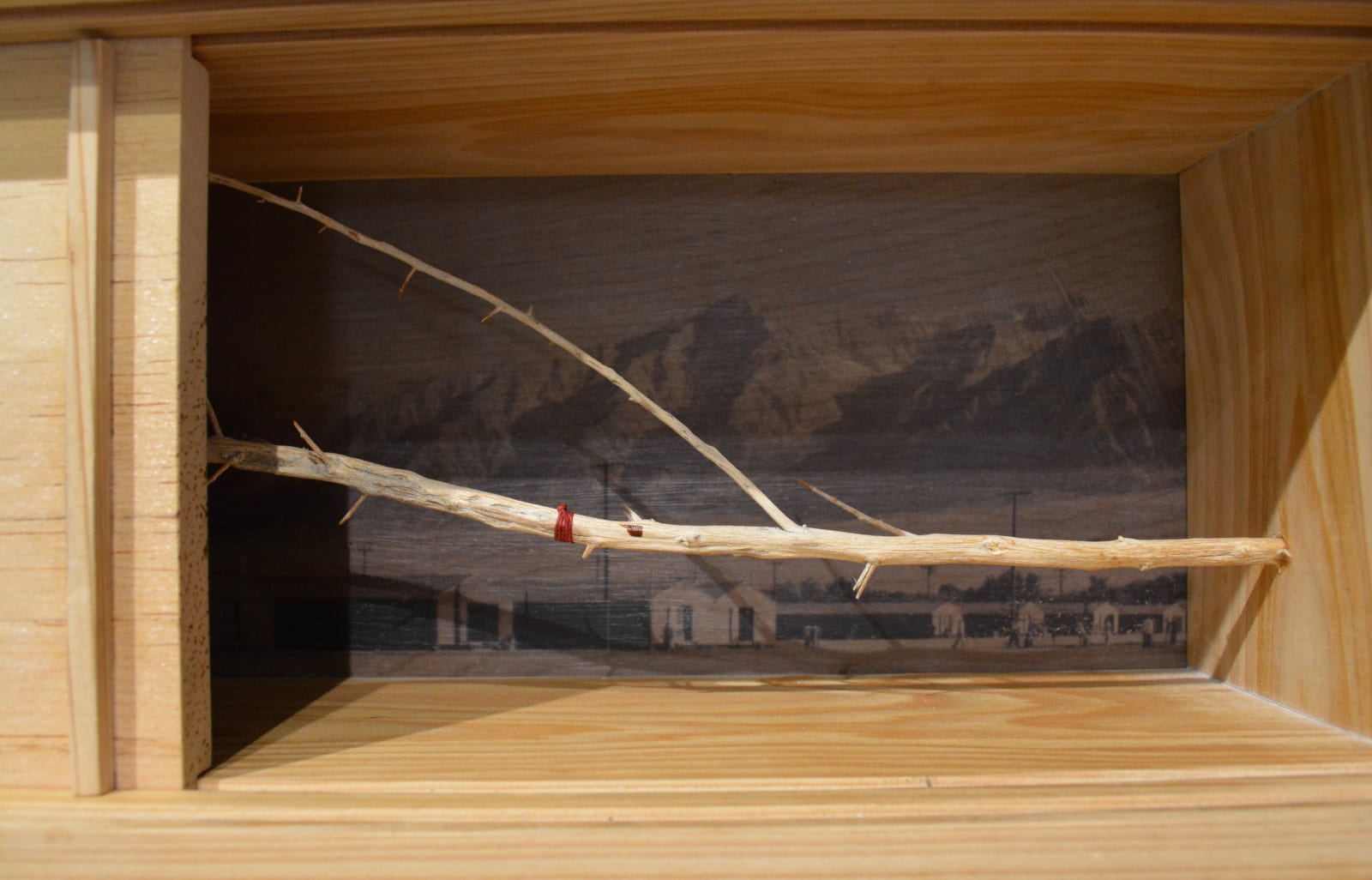 Wendy Maruyama, Land of the Free