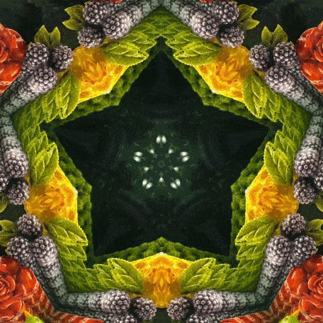 Tim Tate, Lenticular XIV