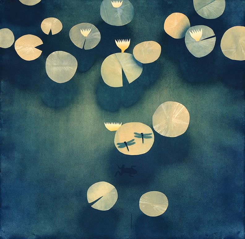 Casey Roberts, Lily Pond