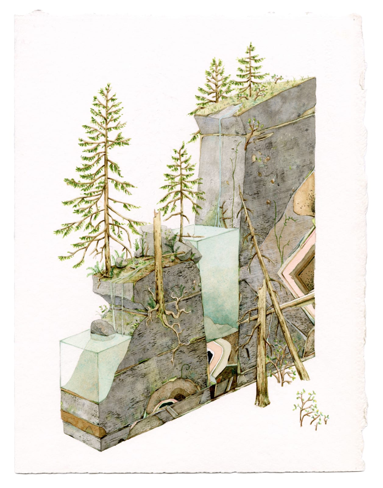 Bryce Lafferty, Stream with Hemlocks