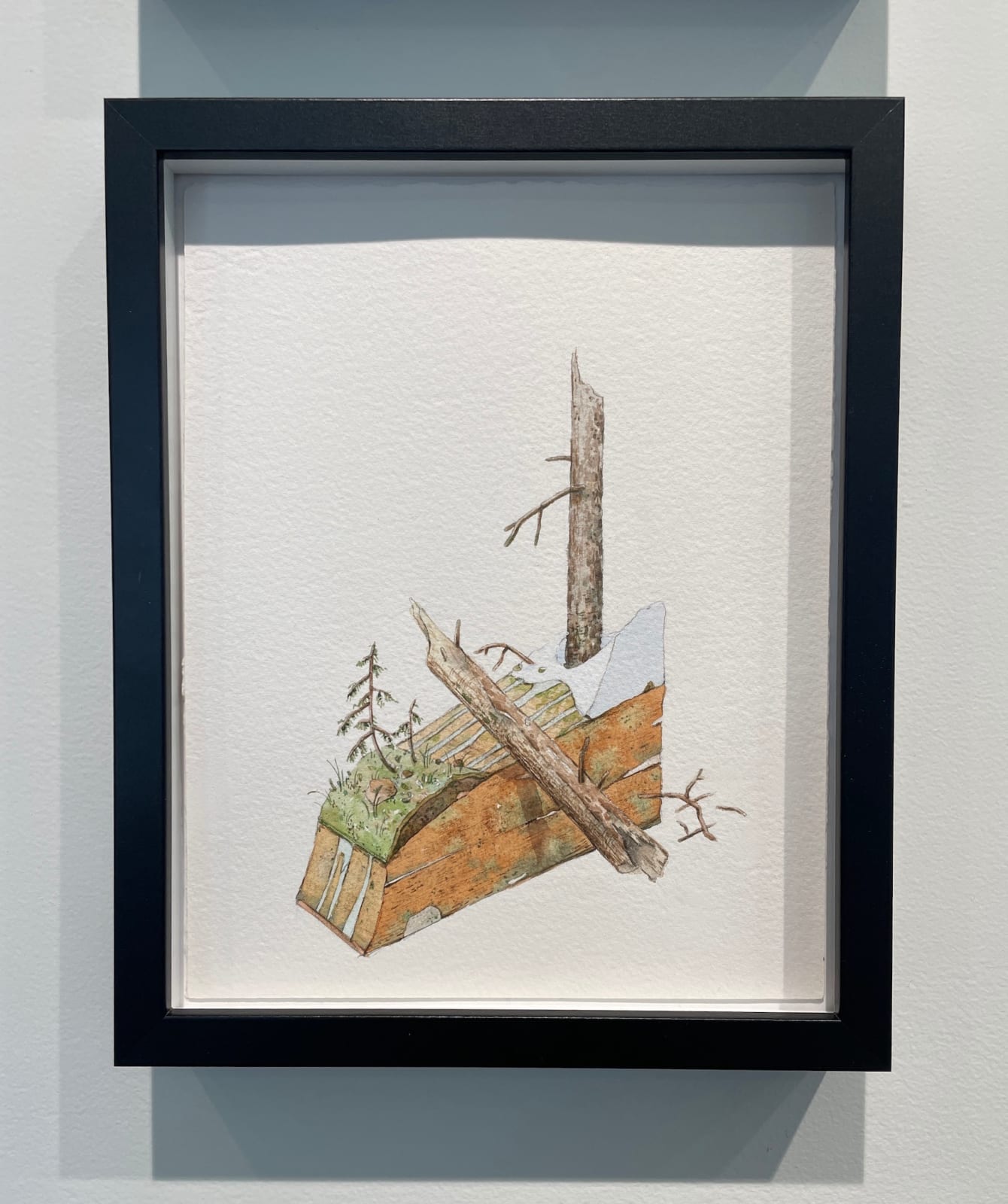 Bryce Lafferty, Vernalis (Melting Snowpack)