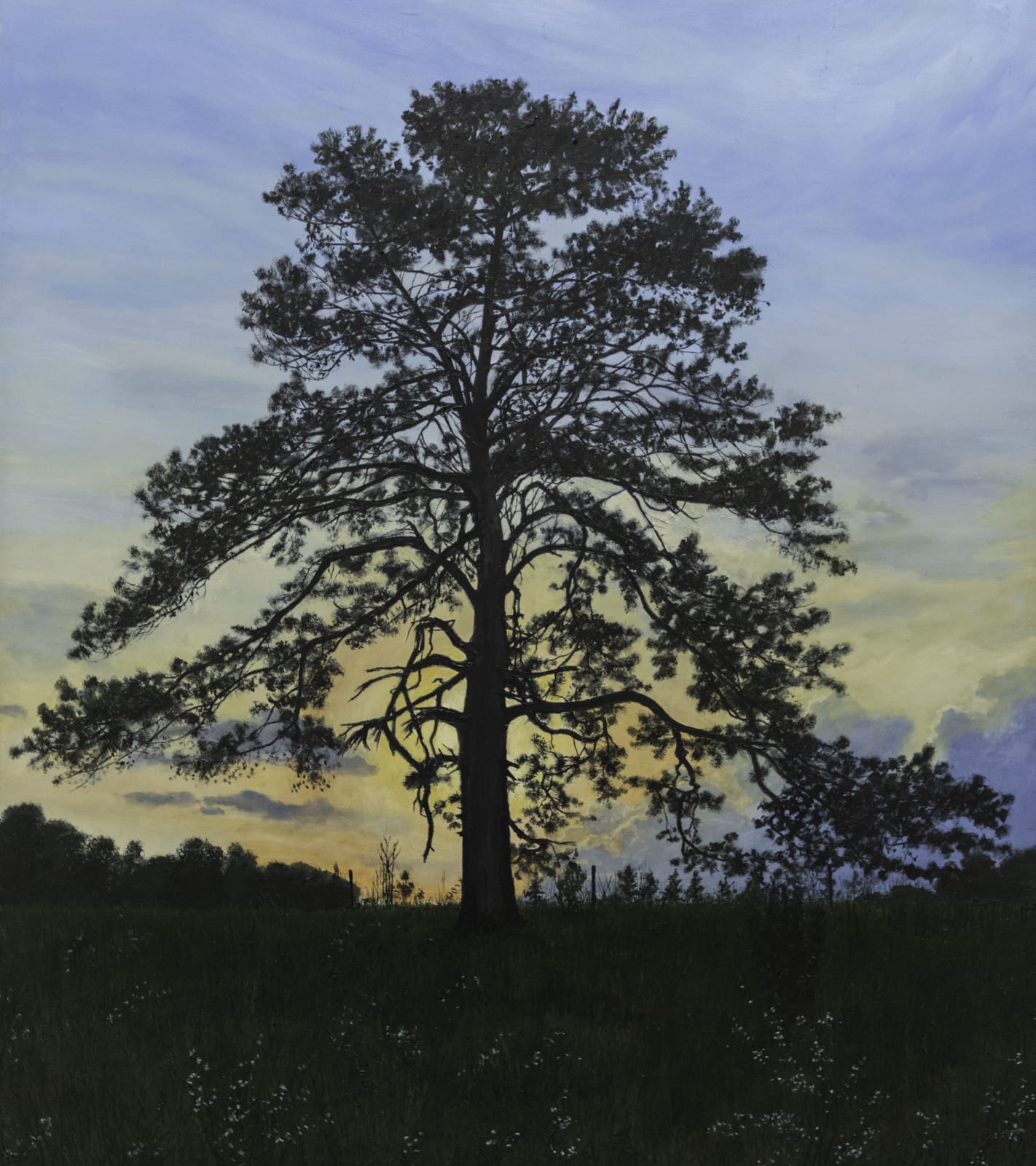 John L. Cleaveland, Jr., Sunset on a Blackberry Winter, Farmington GA