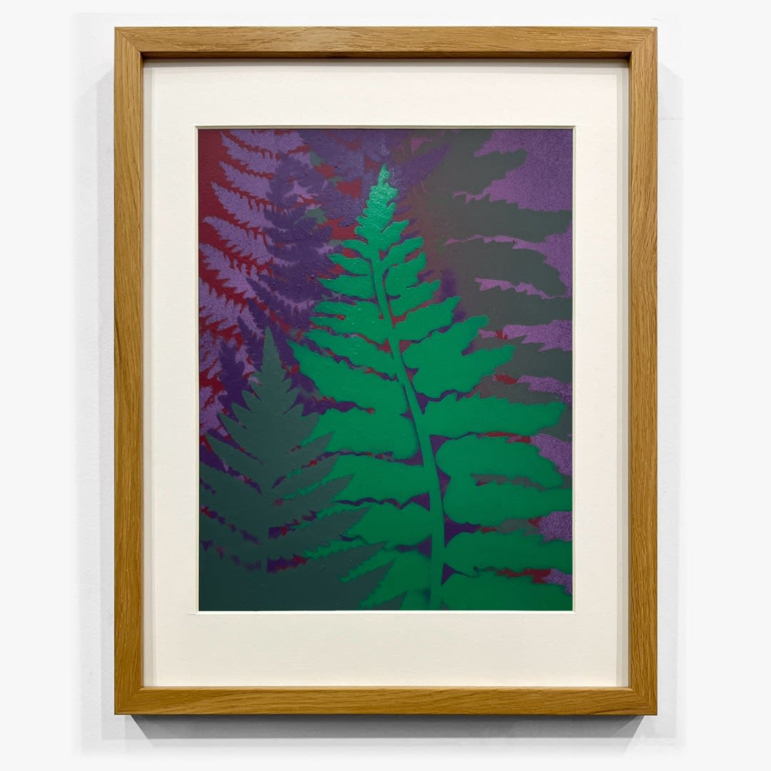 Steven L. Anderson, Pteridomania #6