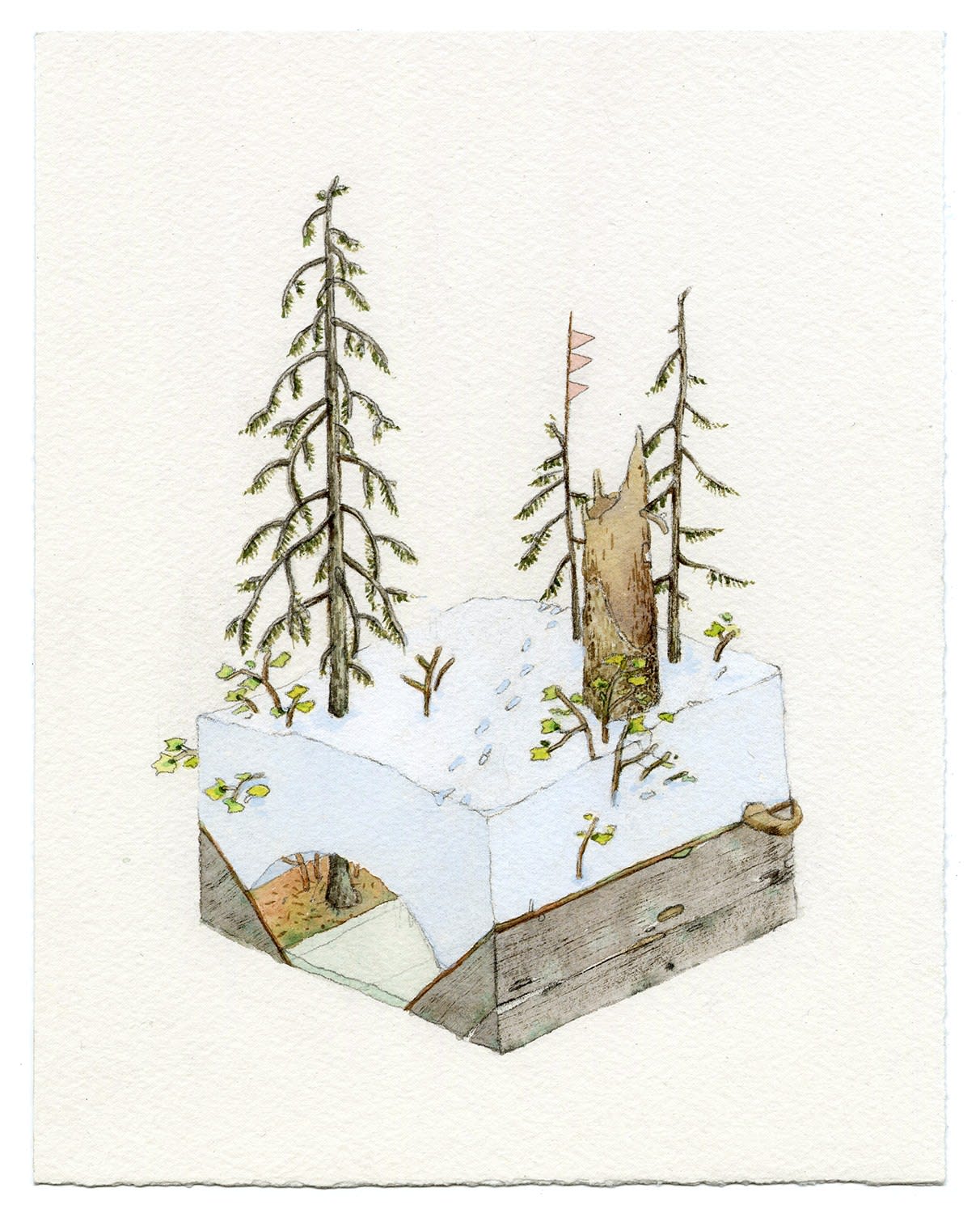 Bryce Lafferty, Vernalis (Hunting Trail)