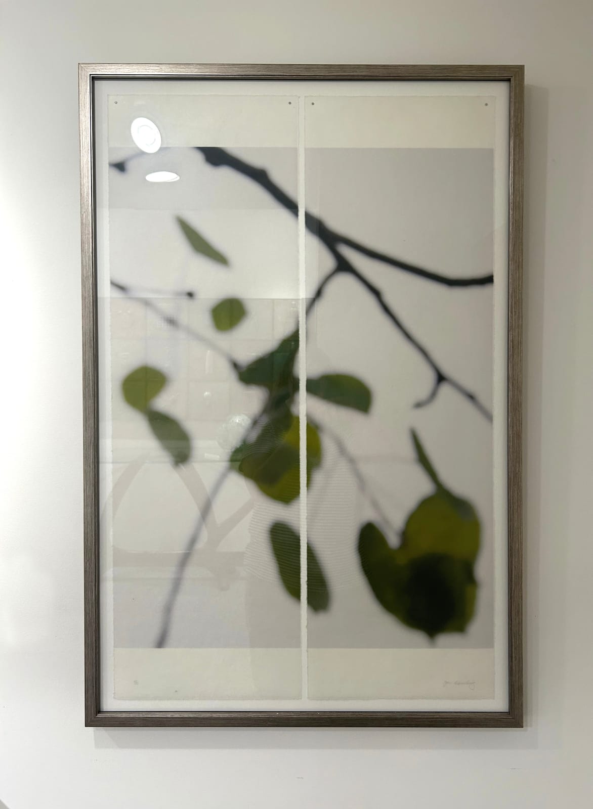 Jeri Eisenberg, Quaking Ash No. 2