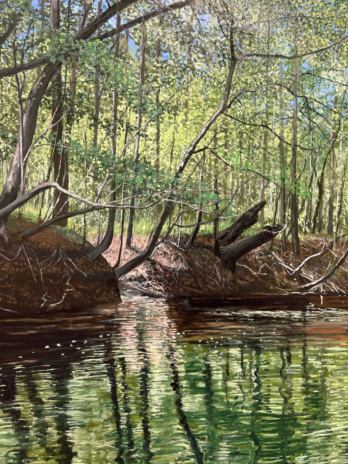 John L. Cleaveland, Jr., Against the Current, Little Satilla River