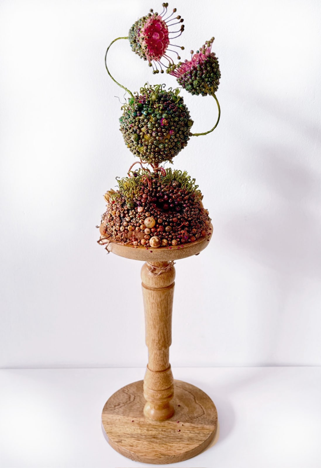 Amy Gross, Ipsa Arguendo