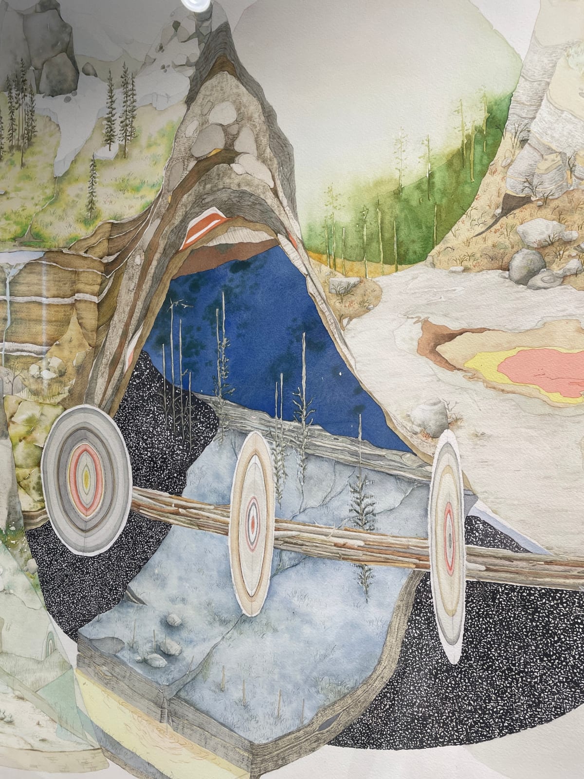 Bryce Lafferty, West (The Tree of Life)