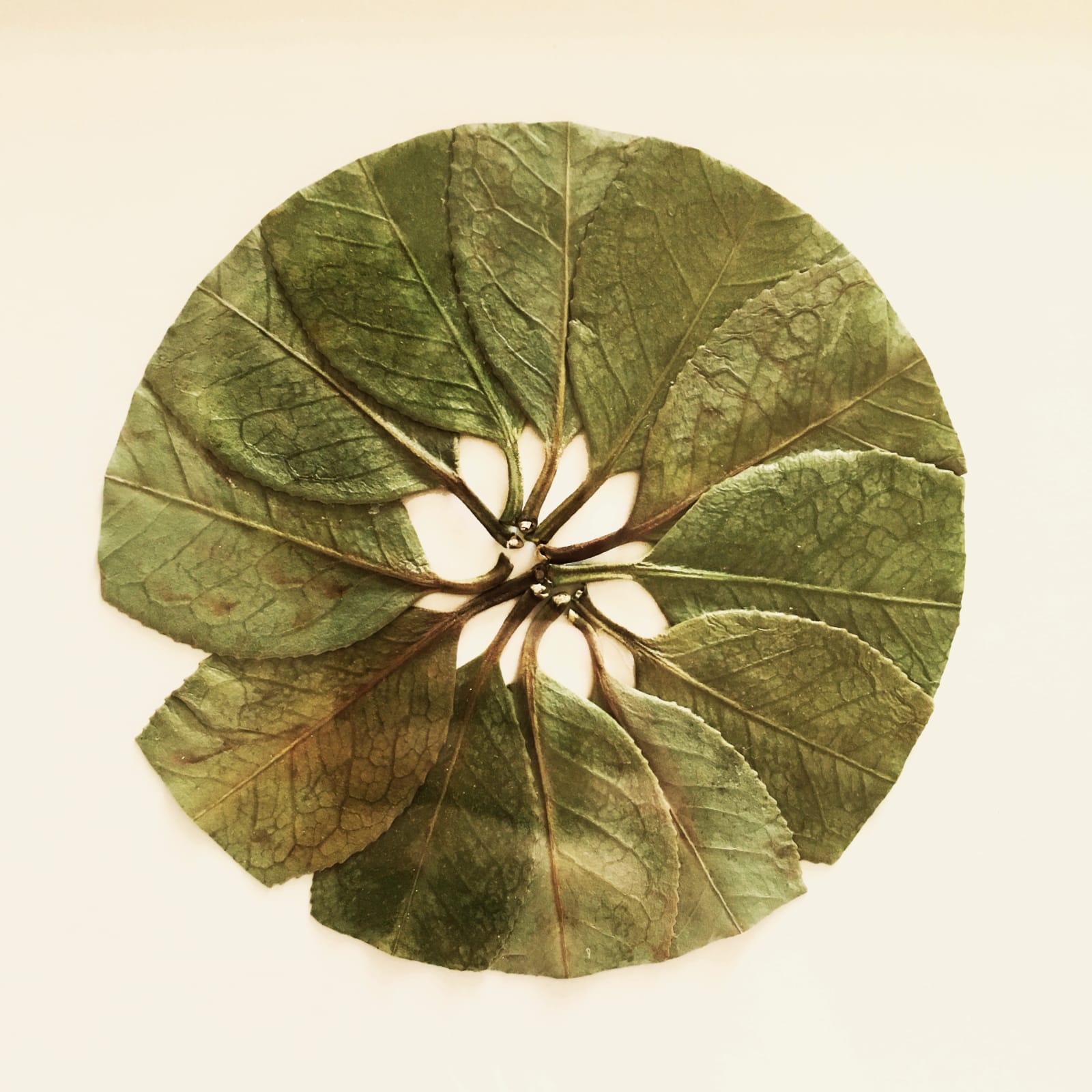 Hillary Waters Fayle, Implications Momentum Gallery