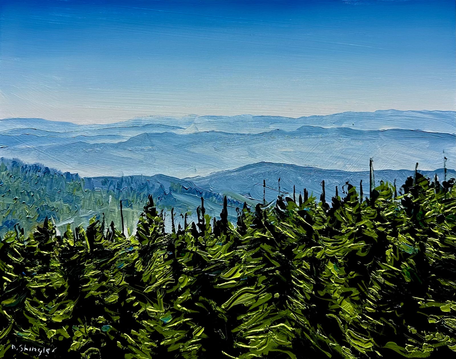 David Shingler, Kuwohi, Clingmans Dome. NC