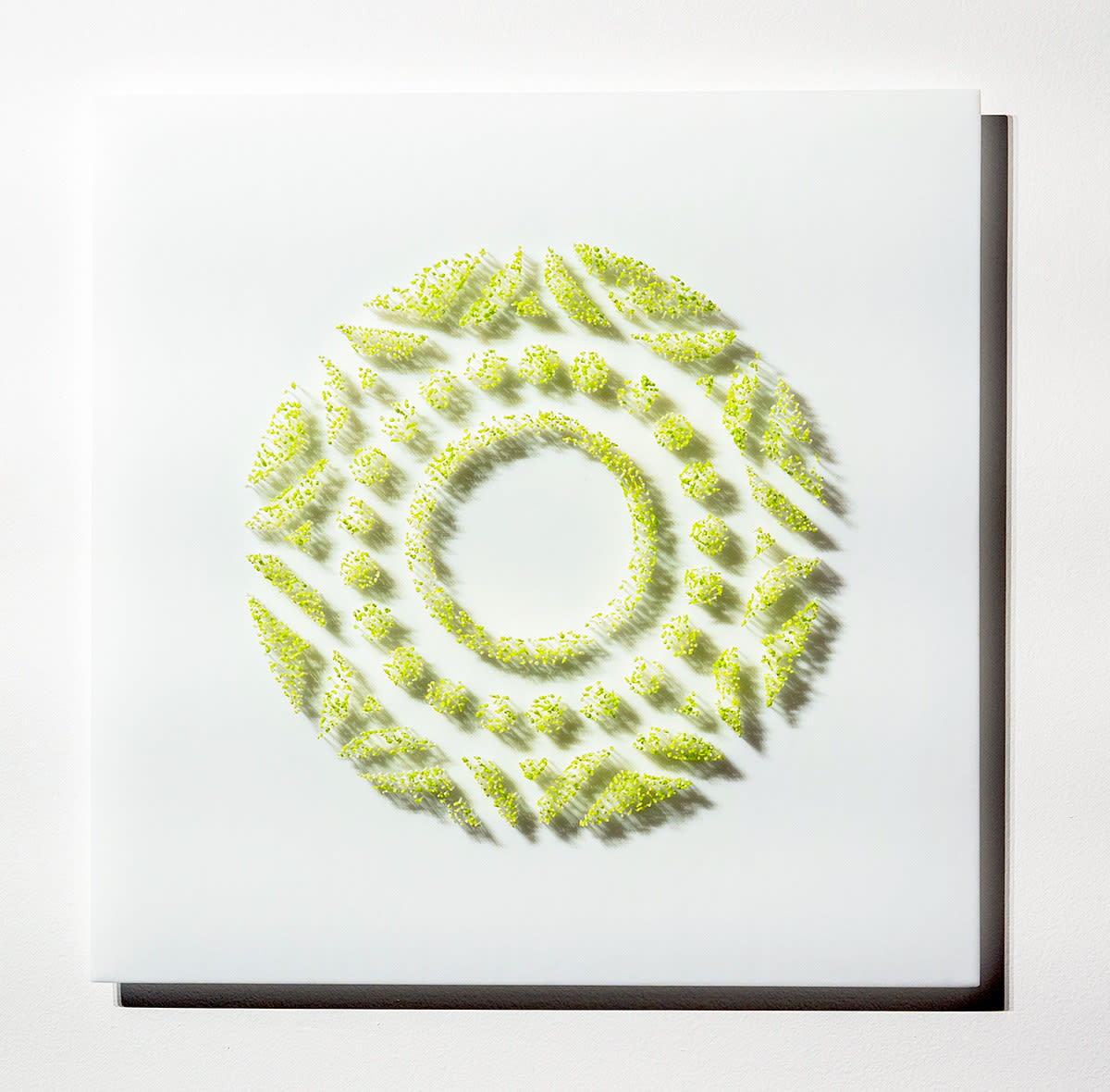 Terri Grant, Moon Garden