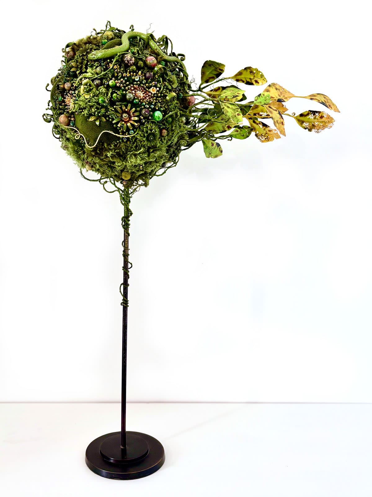 Amy Gross, Crescere Latus