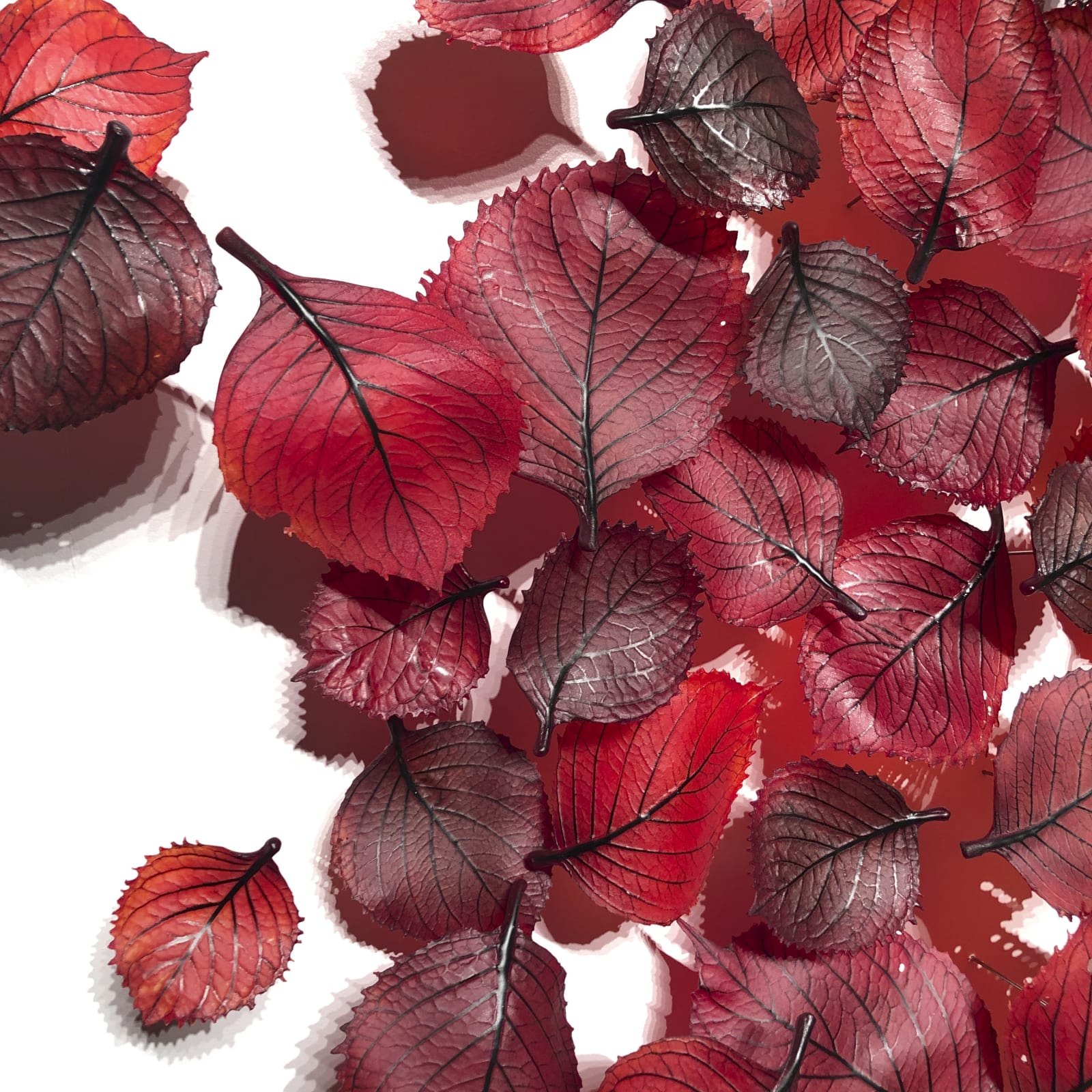 Dean Bensen and Demetra Theofanous, Cutting Through the Darkness