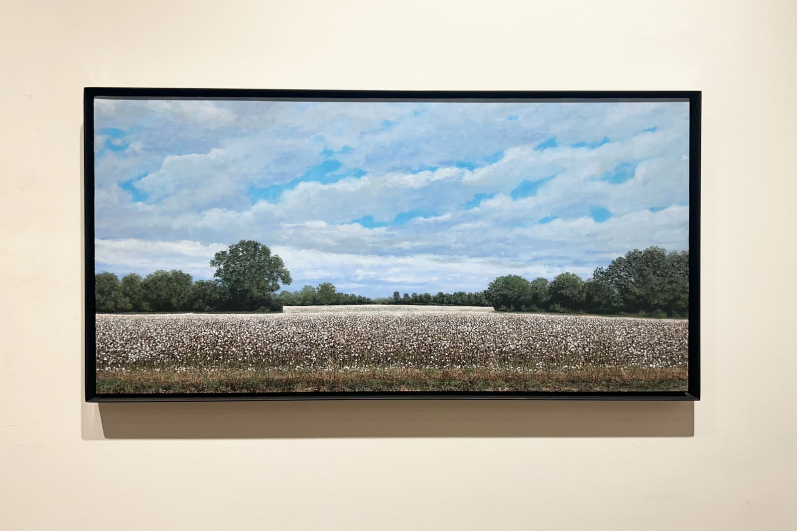 John L. Cleaveland, Jr., From Can’t See to Can’t See