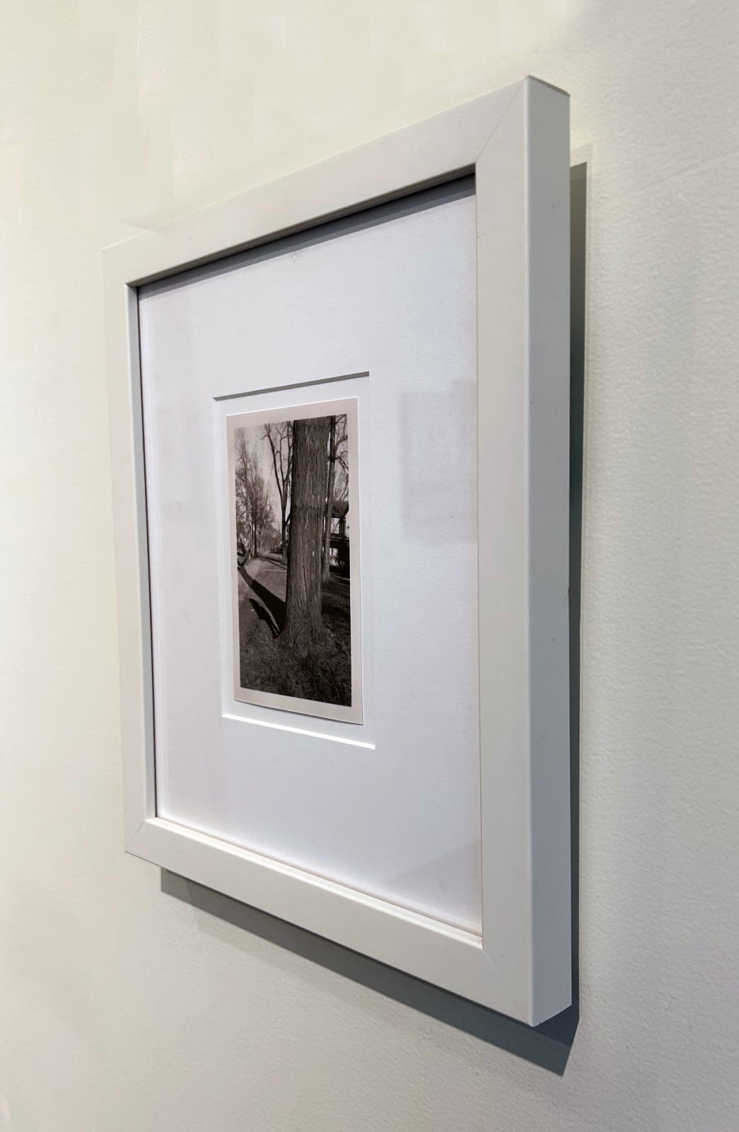 Greg Sand, Traces: Girl Standing by Tree