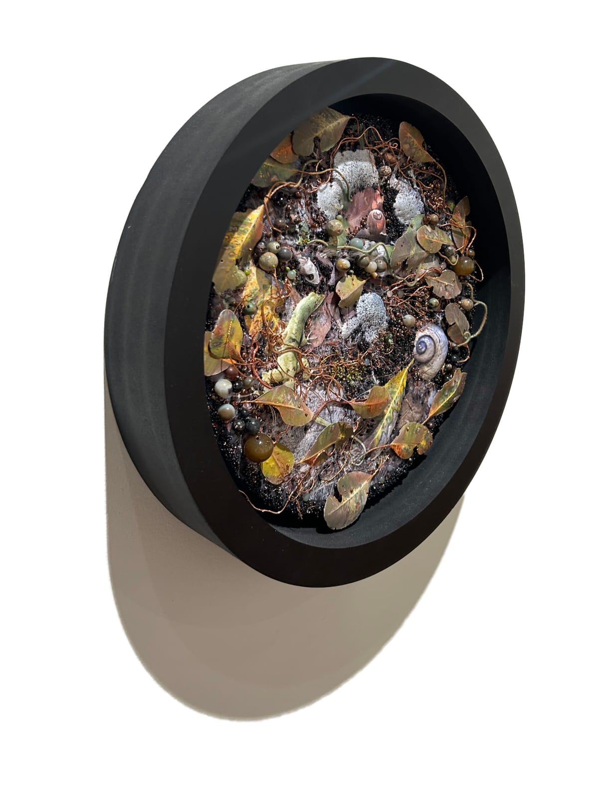 Amy Gross, Filium Ligo