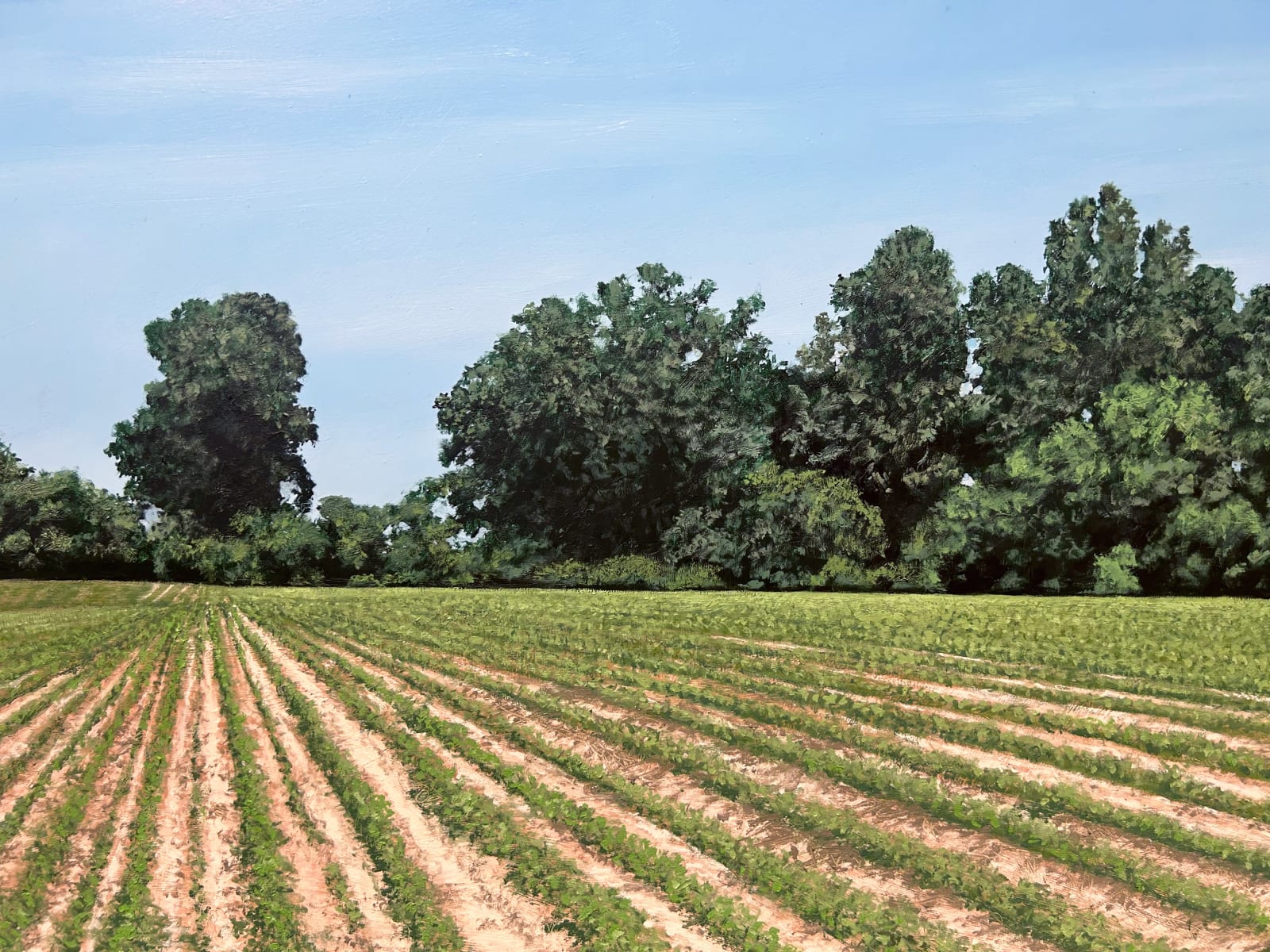 John L. Cleaveland, Jr., A Little Shade at the End of the Row