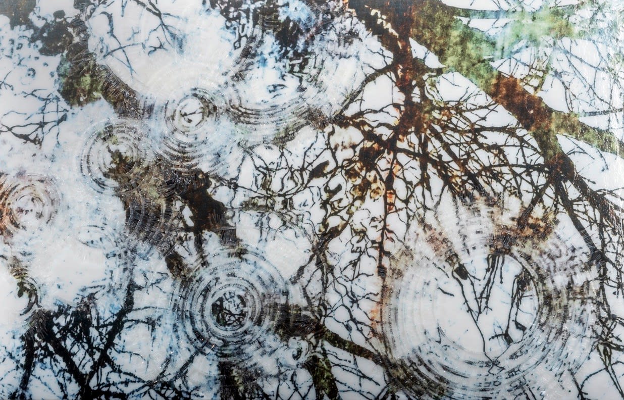 Terri Grant, Falling Into The Sky II