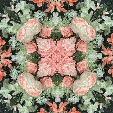 Tim Tate, Pink and Green Rose Lenticular