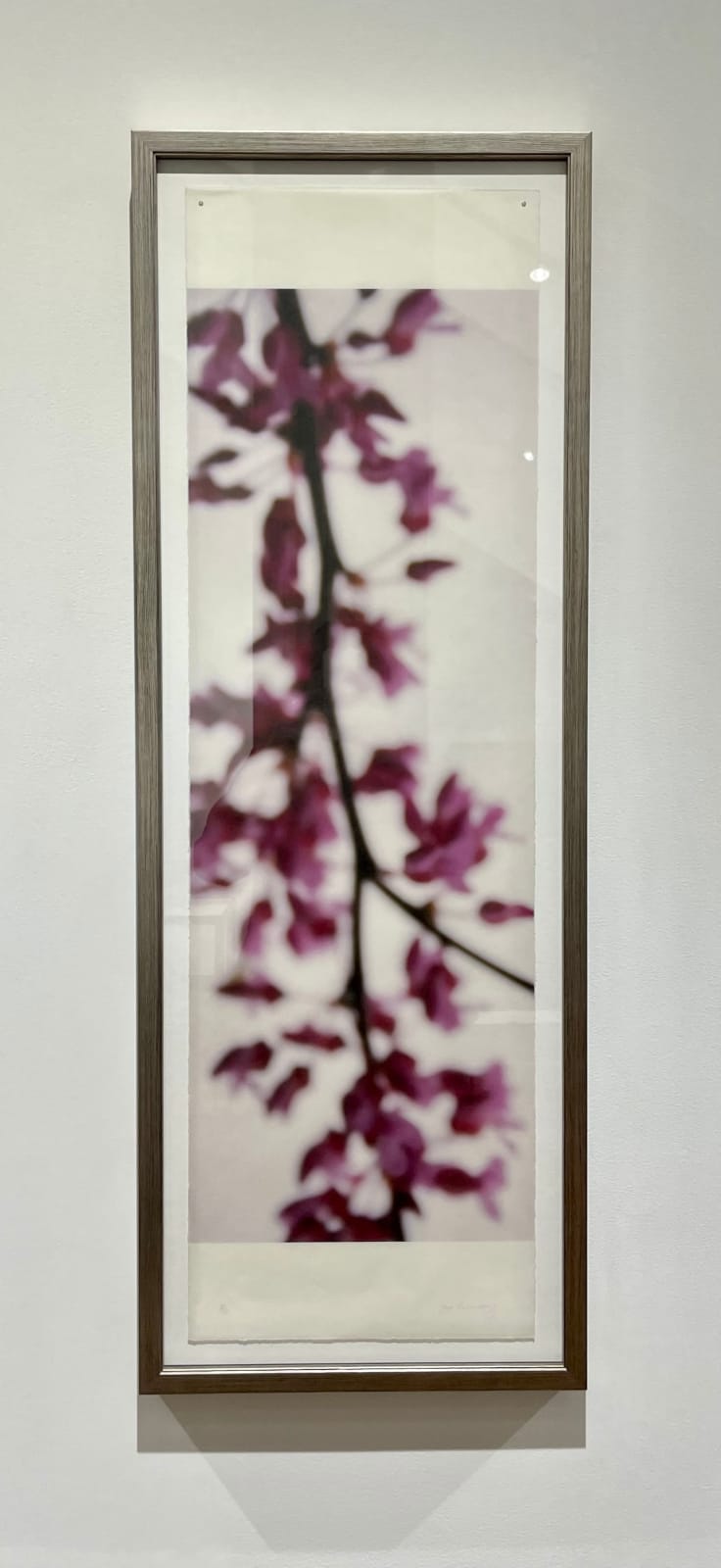 Jeri Eisenberg, Red Bud
