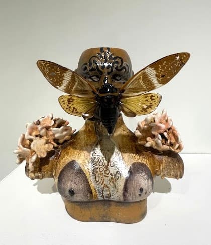 Lisa Clague, Cicadas Dream
