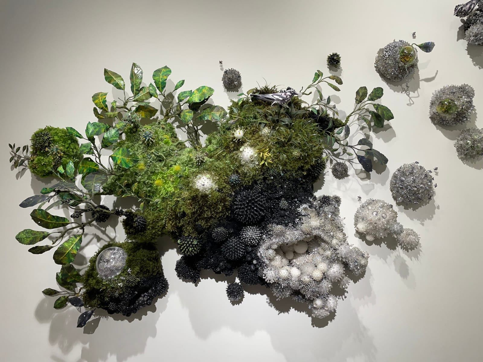 Amy Gross, Silver Bees
