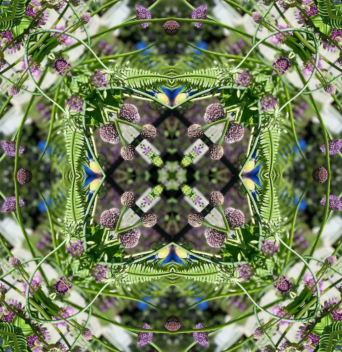Tim Tate, Hillwood Purple Lenticular