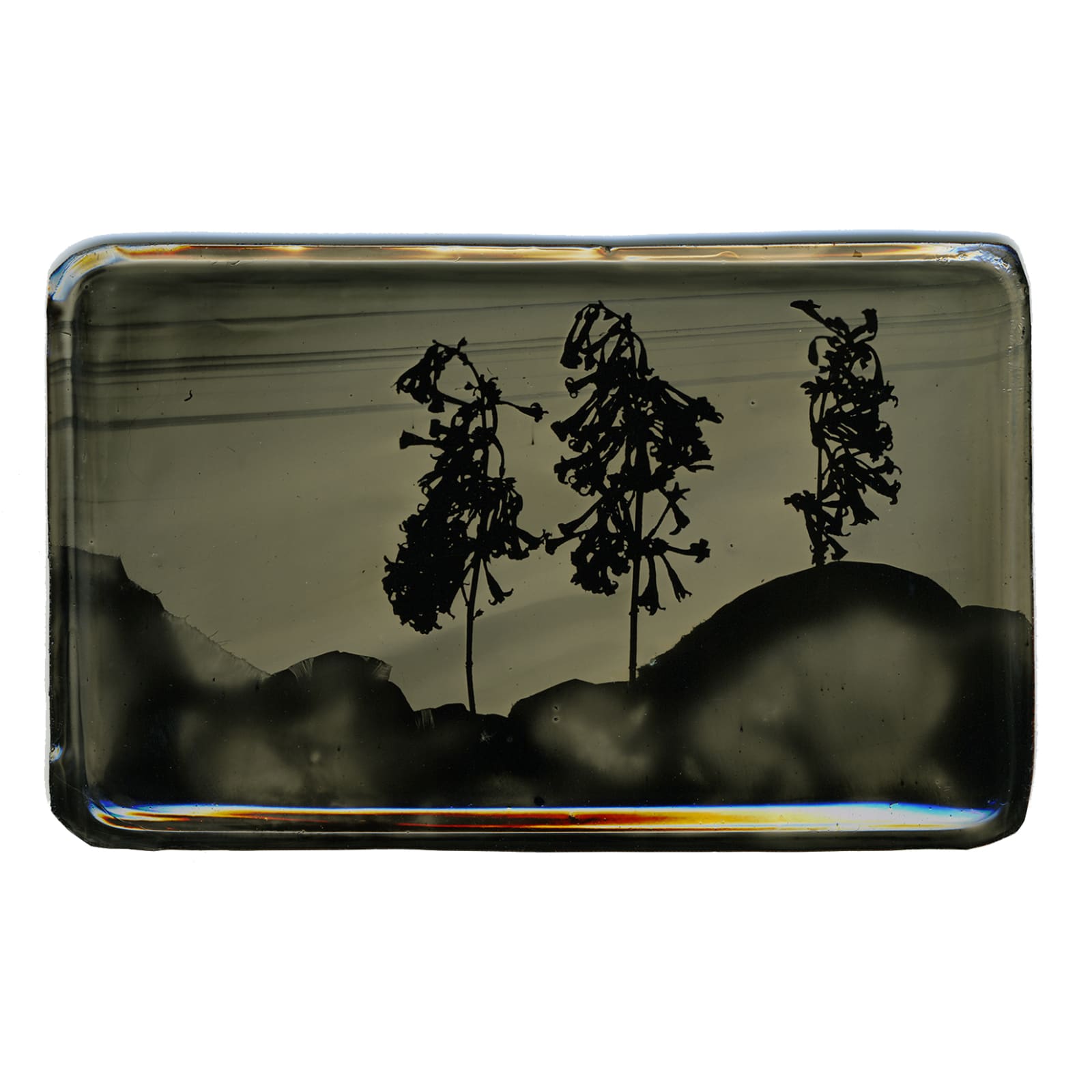 Heather F. Wetzel, Salvage: Constructed Landscape No.26