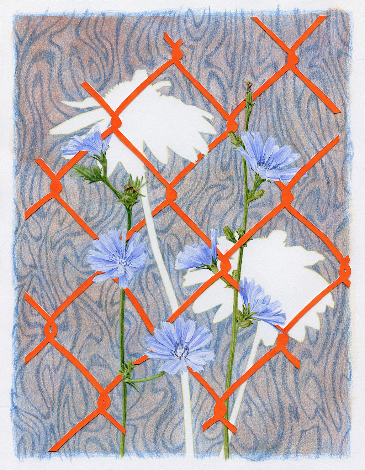 Jessica Tenbusch, Haze